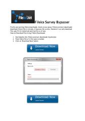 fileice survey bypasser.pdf