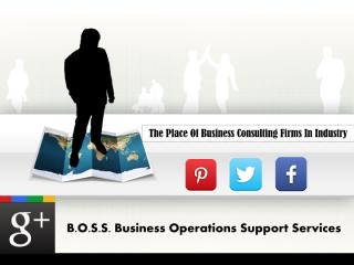 The Place Of Business Consulting Firms In Industry.pdf