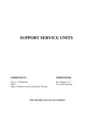 Support services.doc